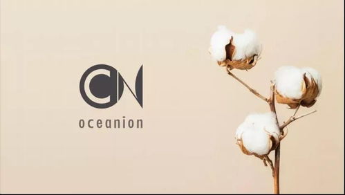 蘇州創(chuàng)博會常客 容易文創(chuàng) ,帶來 這個時代最好的布包