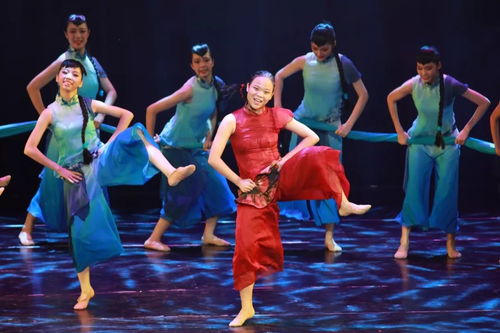 蓬江兩組作品奪省賽 金獎 僑鄉少年舞動青春